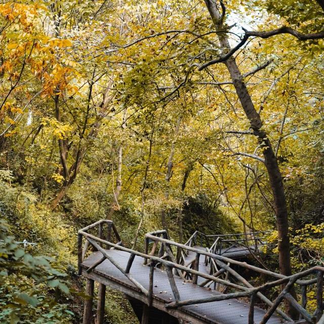 宝华山滑雪场开放时间定了