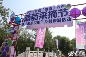 2024东营（城南）六户葡萄采摘节正式开幕图片