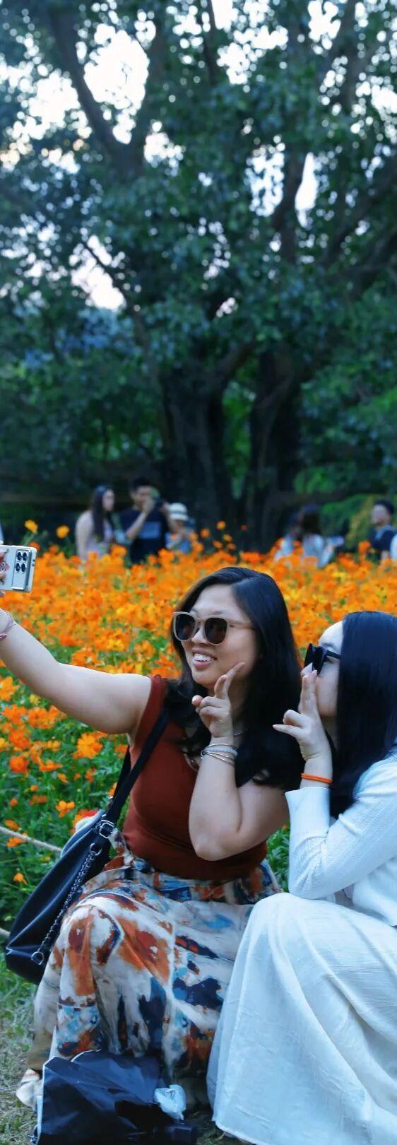 行摄 | 美爆了！秋日花海，限时上映