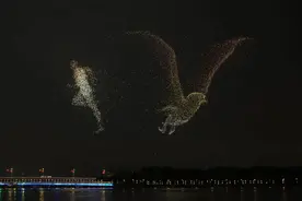 深圳10197架无人机表演创两项吉尼斯世界纪录图片