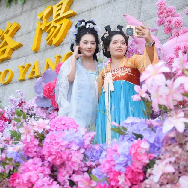 我们，如此热爱洛阳