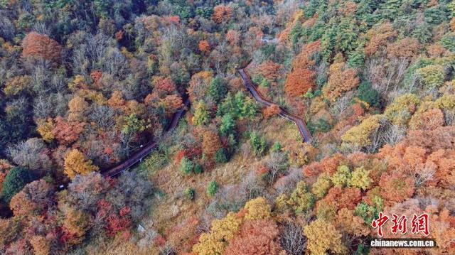 西塞国国家森林公园：绿水青山披“霓裳”