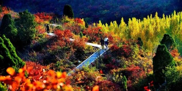 亮相央视！洛阳这些赏秋地，太美！