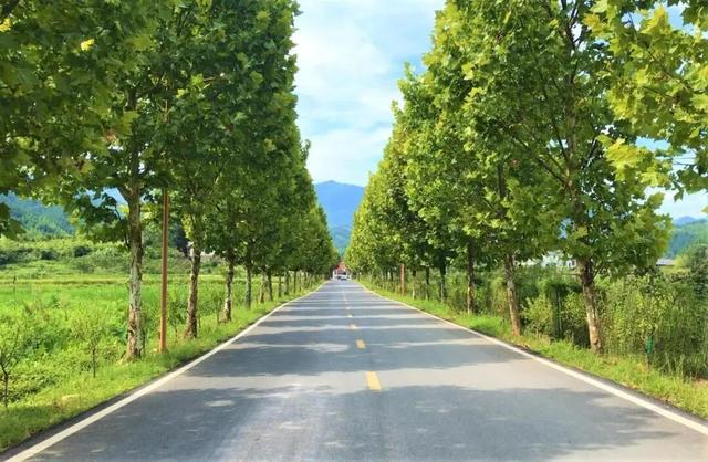 美出圈！萍乡这个宝藏小镇入选省级旅游名镇