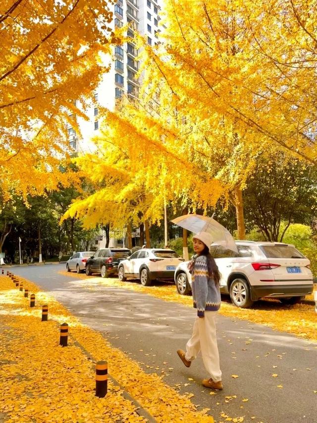 人少景美！洪山5处打卡地，周末约起