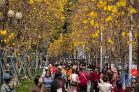 人人人！2024年广州常住人口1897.8万人，稳居全省人口第一大市图片