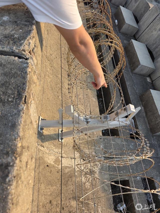 现场堪比“越狱”！上海这一网红打卡点，安全风险不容忽视
