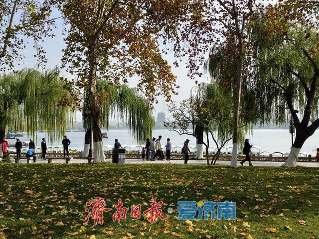 一年四季 泉在济南丨赴一场冬日湖畔之约，且看诗意的泉城济南