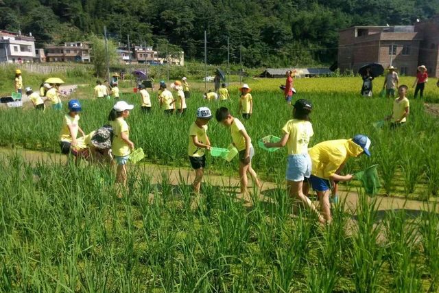 省妇联推荐！清远2条亲子游线路正式公布！