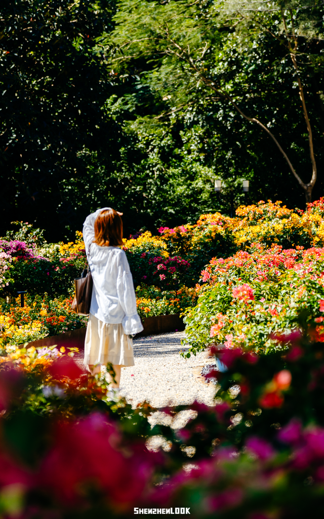 挤爆莲花山！深圳20万m²超大型花展，今天开始