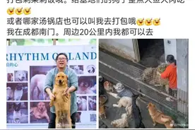 成都女子打包40余桌婚宴剩饭喂流浪动物：让每一次节约剩饭成为幸福的象征图片