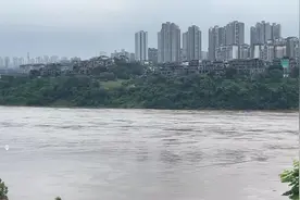 现场直击！今年嘉陵江首轮洪峰已抵达重庆中心城区图片