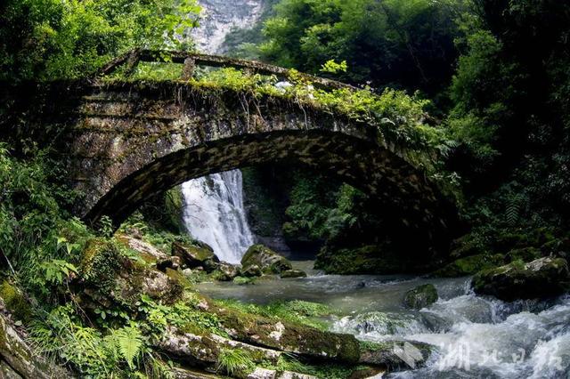 巴东金果坪：饮水水源地绘就生态画卷
