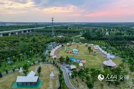 安徽蒙城：古城文旅有新意图片