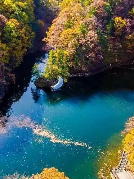 初冬高饱和度美景，还得看洛阳！