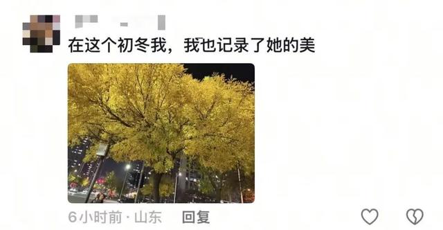 漫步日照之秋 | ① 巨好看！山东路的一颗秋天！