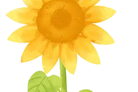 侬好，囡囡~一起来学上海话吧→图片