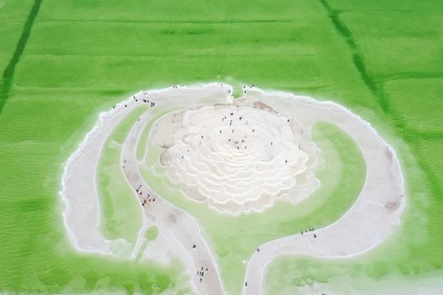 好品中国丨“我姓柴，柴达木的柴”