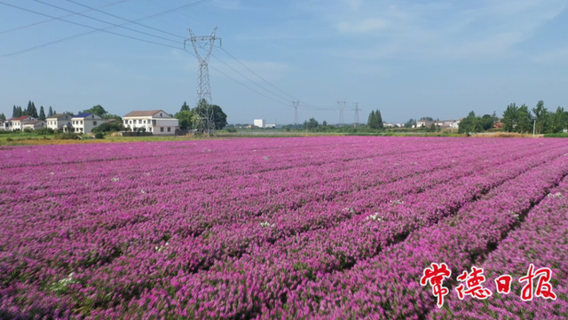 跨越山水 常德汉寿向重庆发出“快旅慢游”新邀约！