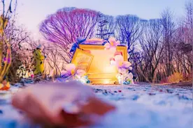 海淀公园又上新，冰雪“莫奈花园”惊艳亮相图片