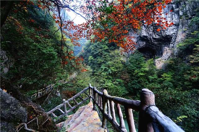 层林尽染，走进保康的秋日诗篇！