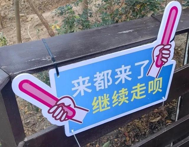 景区“损人式加油”爆火！专治各种爬不动？