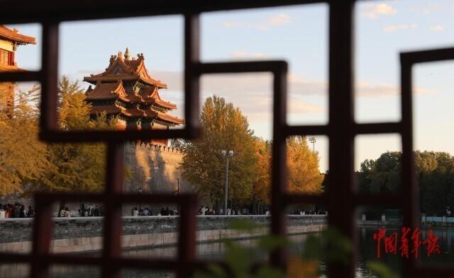 故宫角楼银杏黄