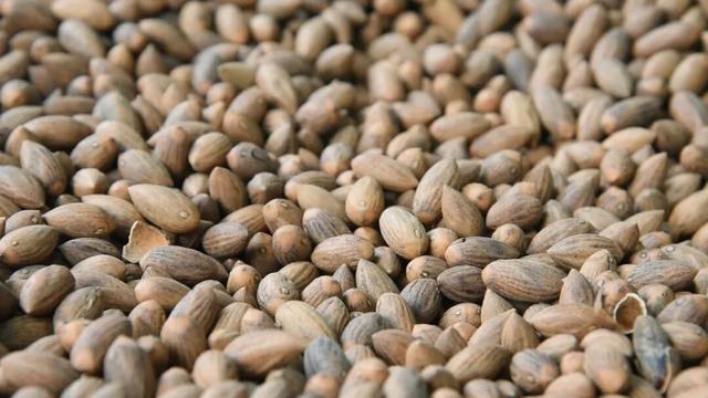 锁定奉化，山野“食”秋！这份假期觅食指南别错过→
