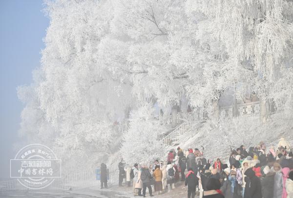 冰雪微笑曲线｜吉林市：雾凇凝诗画 雪道竞风流