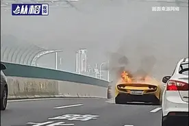 500多万豪车自燃烧毁！接单的代驾司机要赔吗？图片