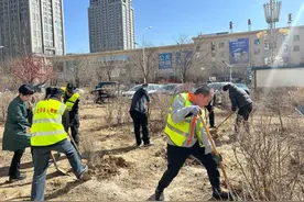 包头市青山区：“小客厅”撬动“大治理”图片