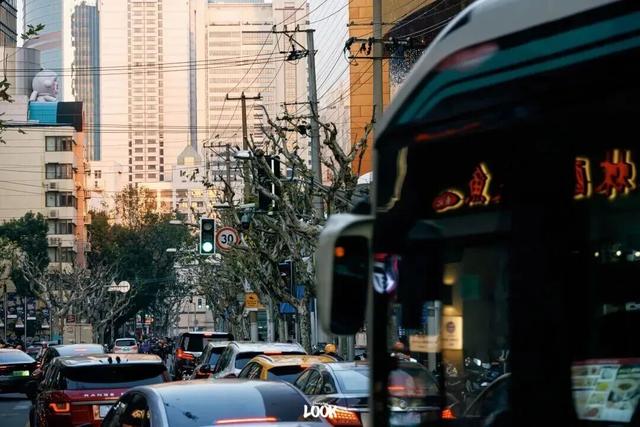 冬日打开指南！去愚园路静安段逛街→