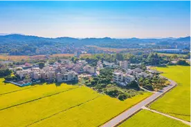 鼓励村民出资，从化今年完成4000余栋农房外立面改造图片