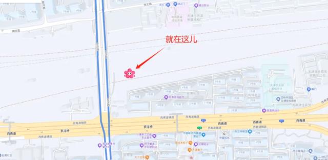 红桥人遛腿儿都来这→