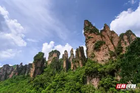 张家界市代表团出访越南、泰国 推动文旅交流与合作图片