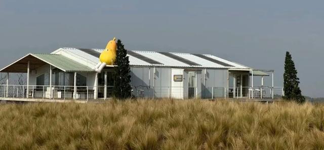 西安出发1h！这4个宝藏农场！