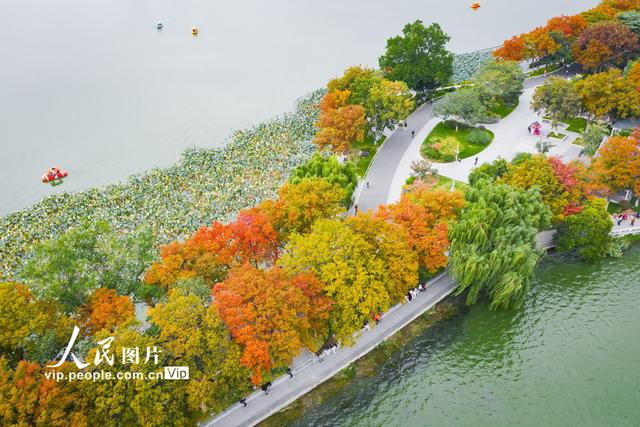 江苏南京：玄武湖秋景如画