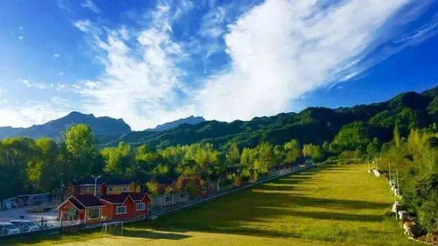 重返20°C+，洛阳极品好天气！速速出门！