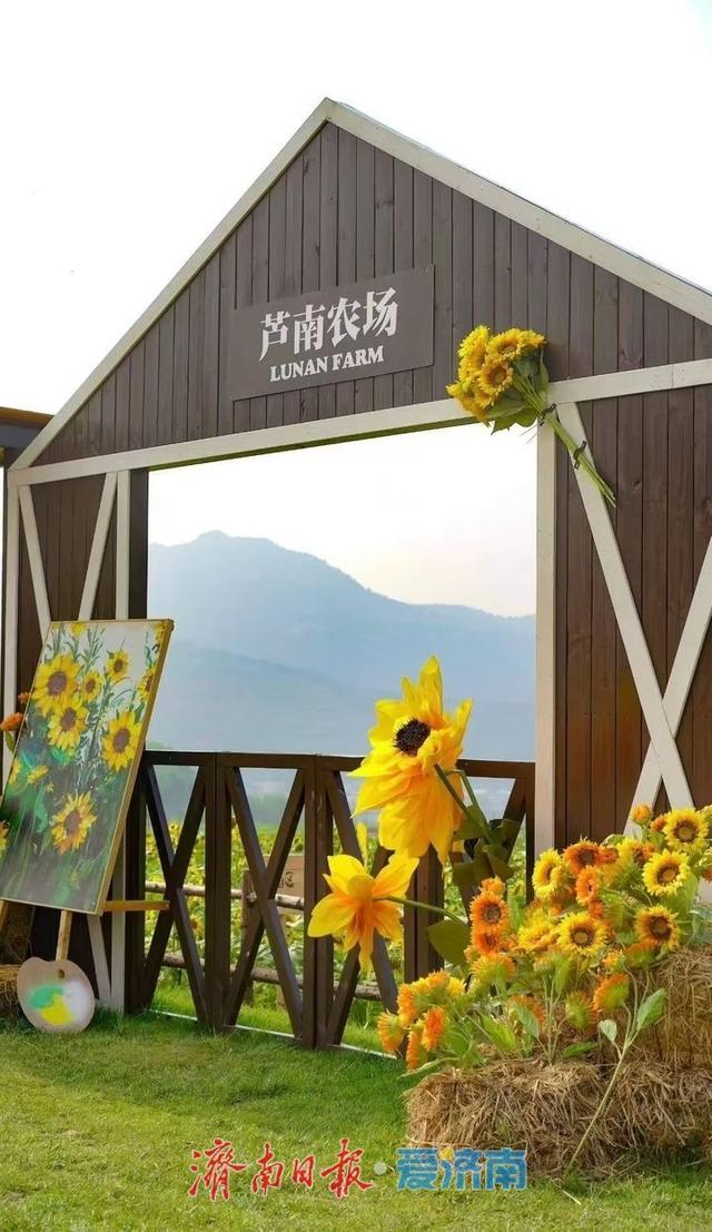 嗨！泉之城丨济南暑期新“趣”处 夜趣、露营与研学的夏日狂欢