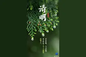 人间四月春 风起正清明图片