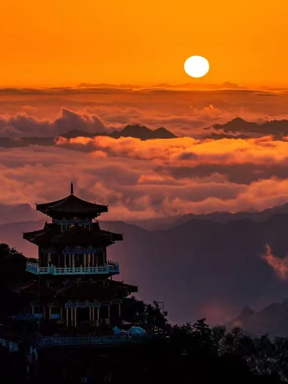 太骄傲！赵立坚又推介洛阳！