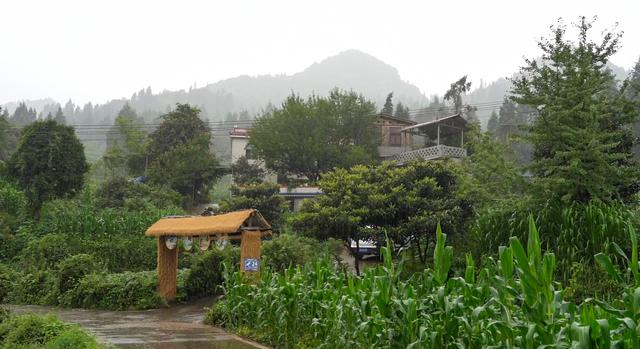 盘州大海村：靓丽小山村成避暑旅居新宠
