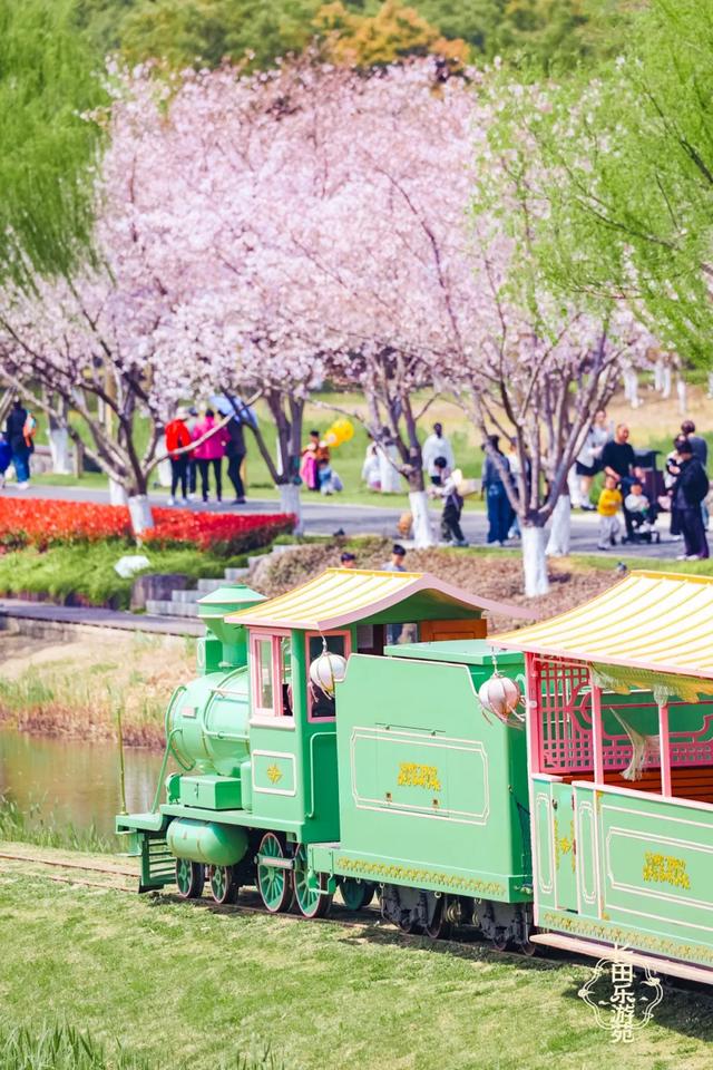 一不留神！湖州的樱花已经美成这样了