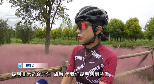 专属秋日的粉色浪漫！滇池绿道旁粉黛乱子草盛开