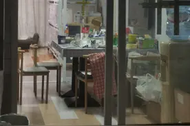 租户百平米房屋繁育数十只猫，物业：法律未规定居民楼限养多少猫图片