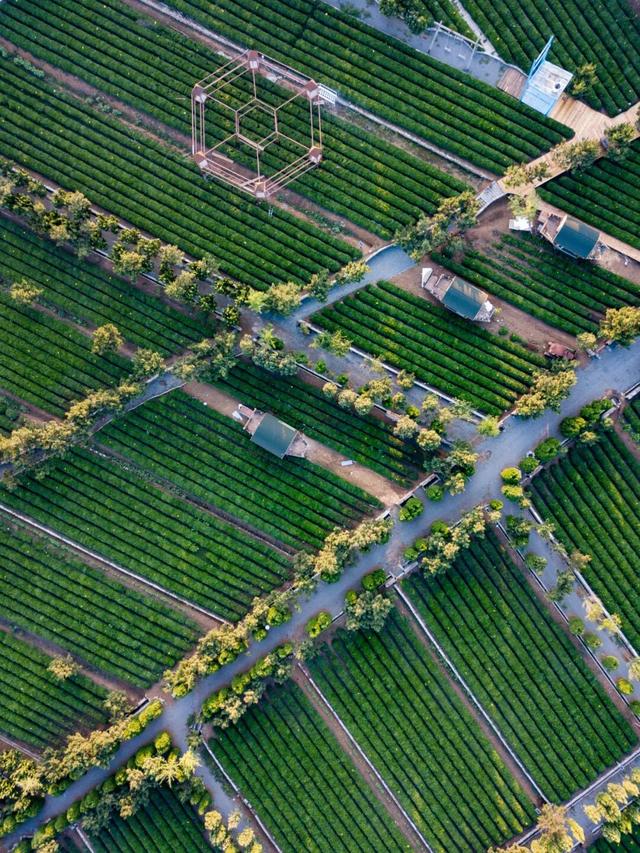 全球榜！中国榜！2026年，必打卡—日照！