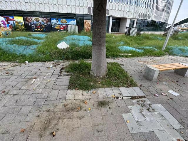 垃圾桶就在旁边，游客仍随手扔，园博园这些地方有点脏