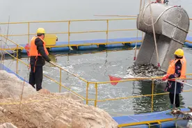 密云水库启动增殖放流 保护恢复水域生态环境图片