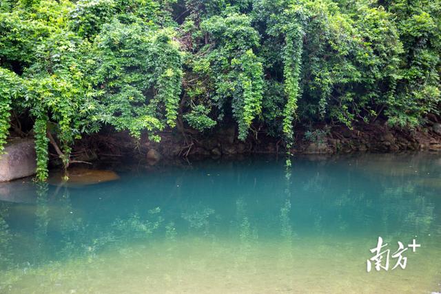 温差8℃的避暑胜地：绿野仙踪 盛夏如春｜打卡电白