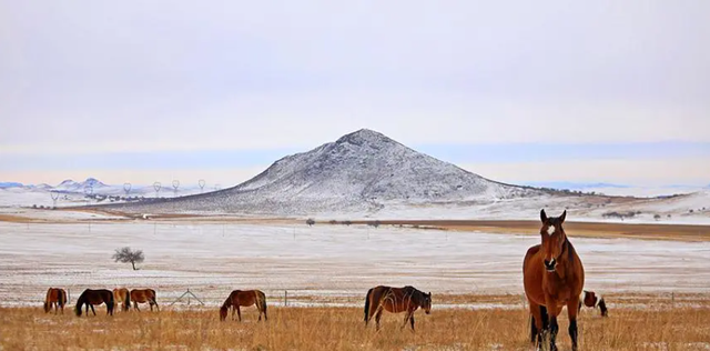 悦来四季·自驾通辽丨穿越幽幽雪原·寻迹民族风情冬季旅游线路（二），游牧风情之旅攻略~